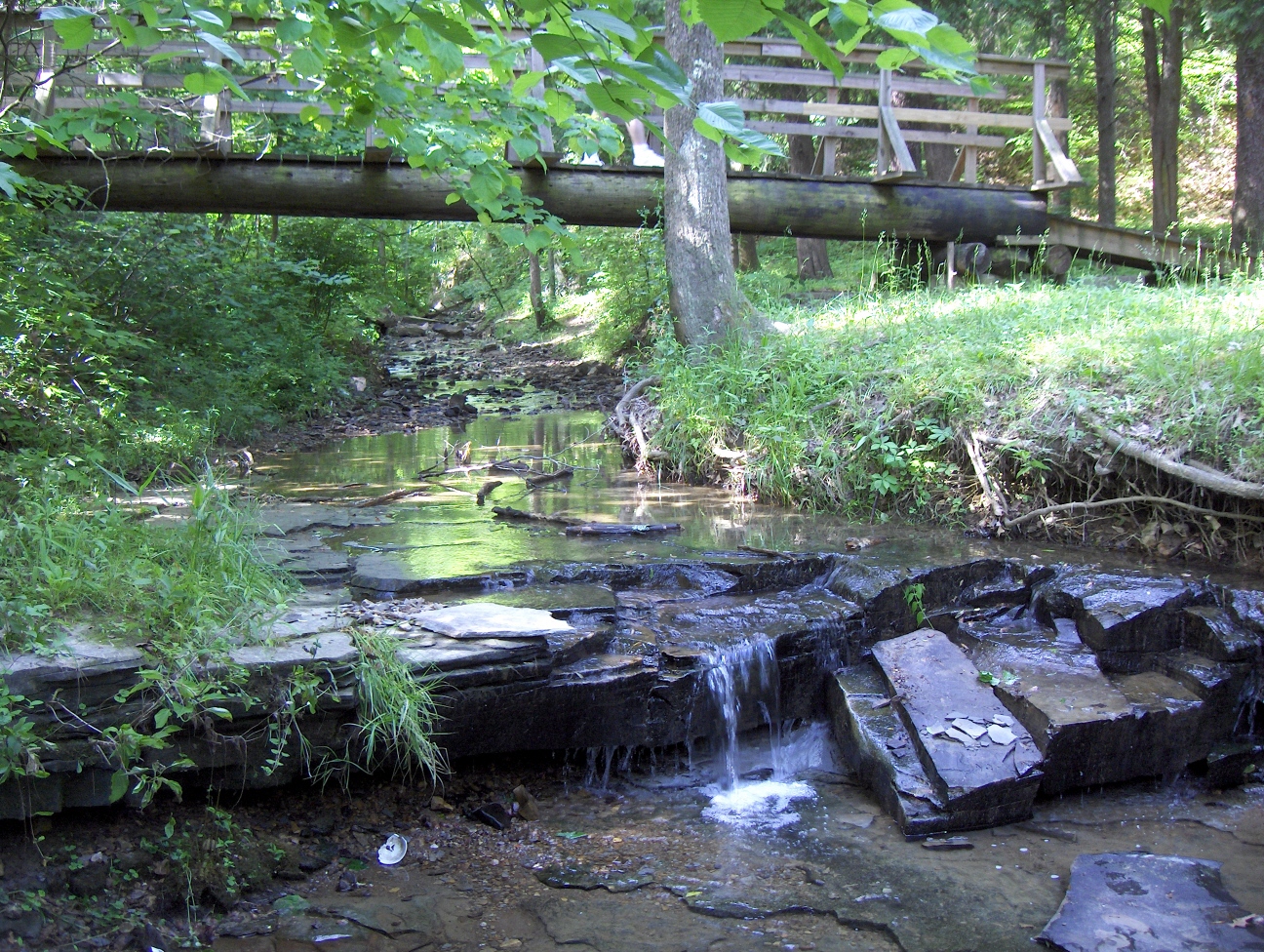 nature preserve park